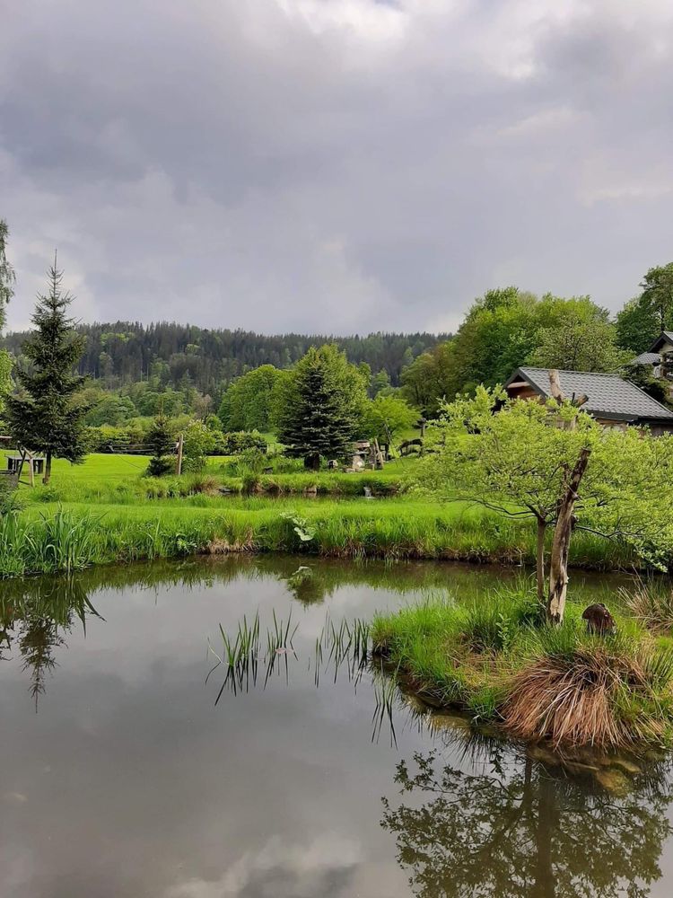 Śnieżnicki Domek (Sudety-Czarna Góra)