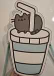 Torebeczka na ramię Pusheen Reserved nowa