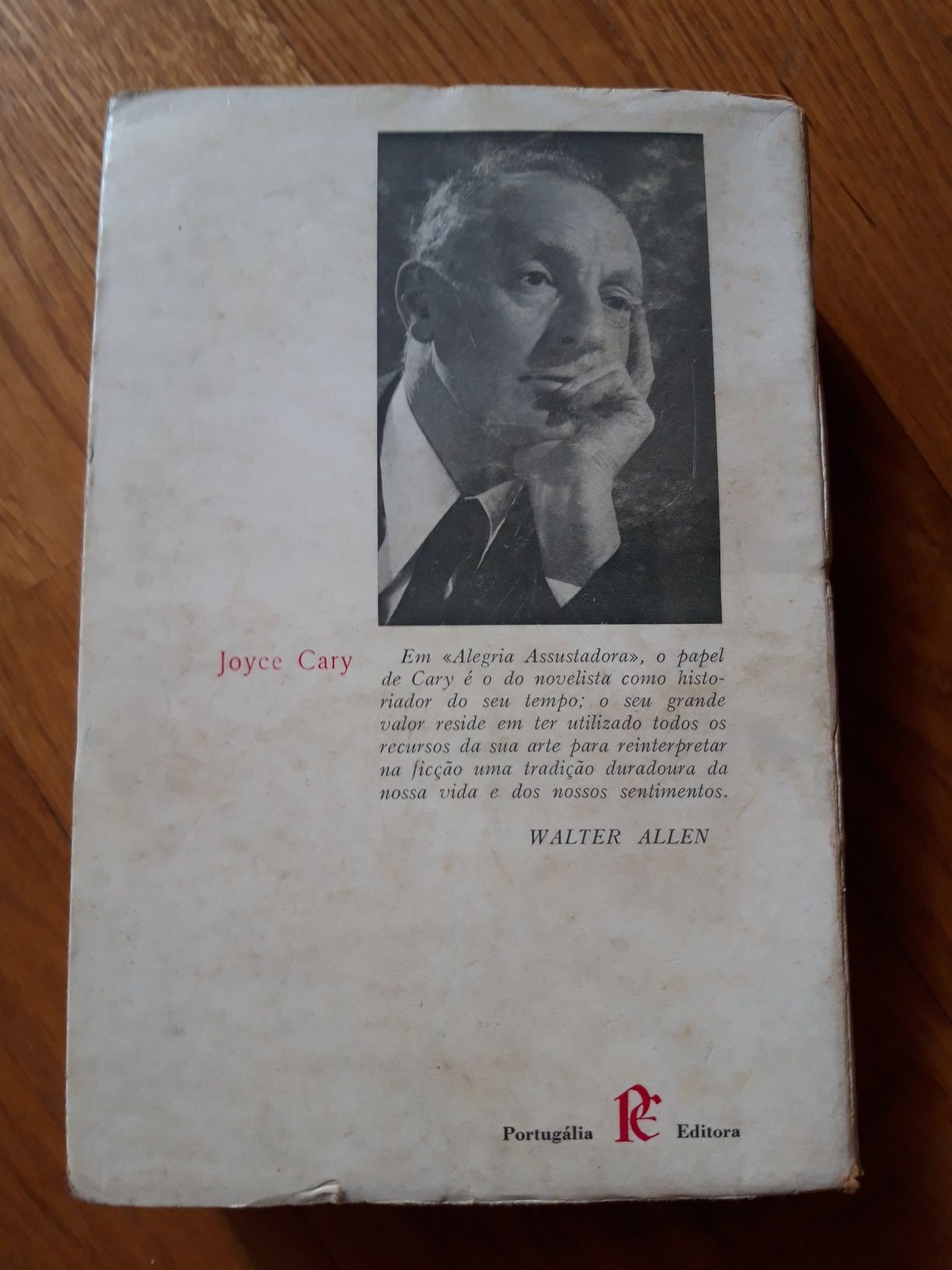 Livro "Alegria Assustadora" de Joyce Cary