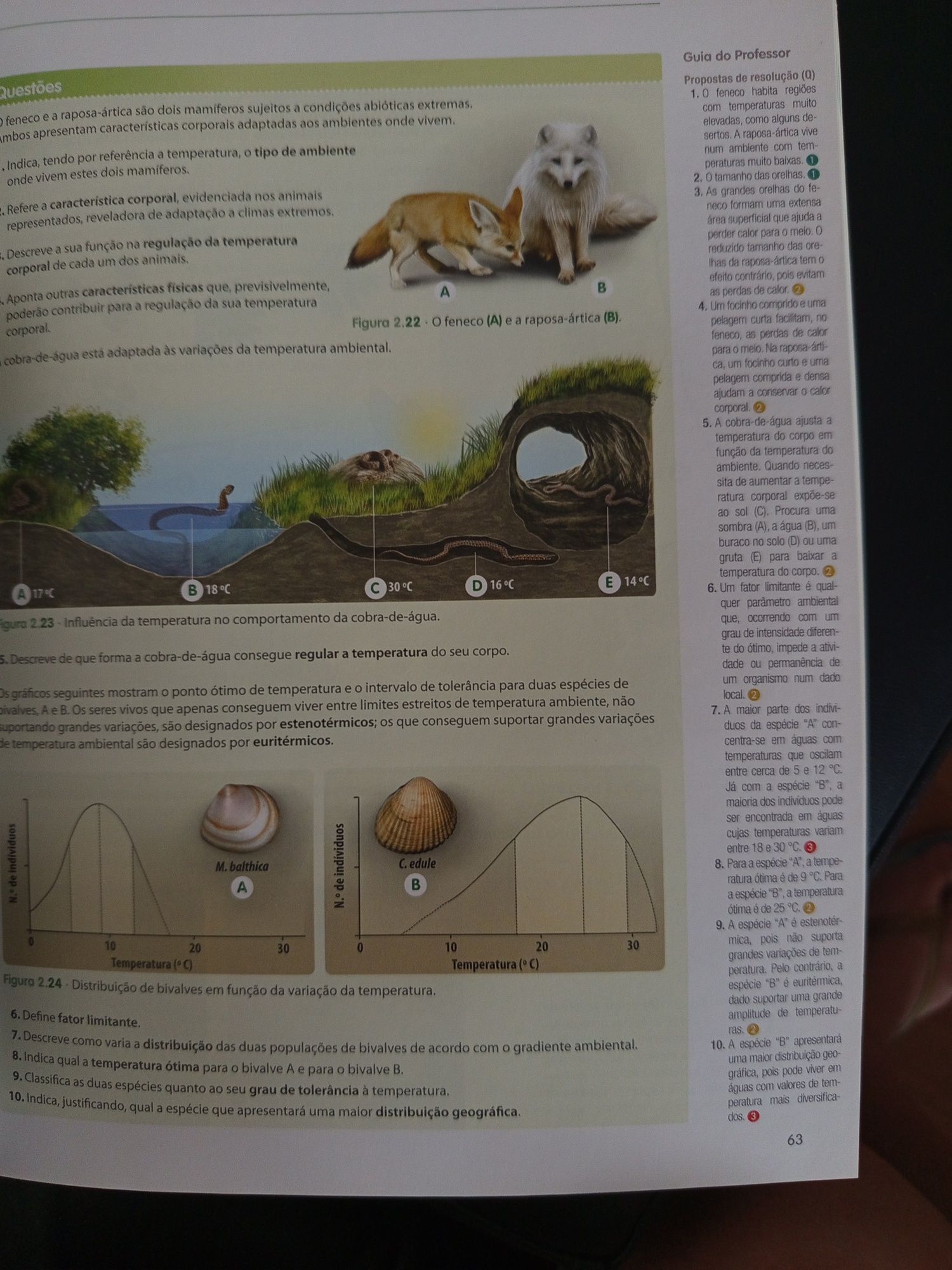 CienTIC 8_Manual do Professor