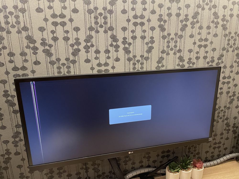 Monitor LG 29WK600-W uszkodzona matryca