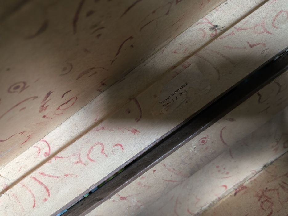 Кейс кофр  для  гармошки марічка