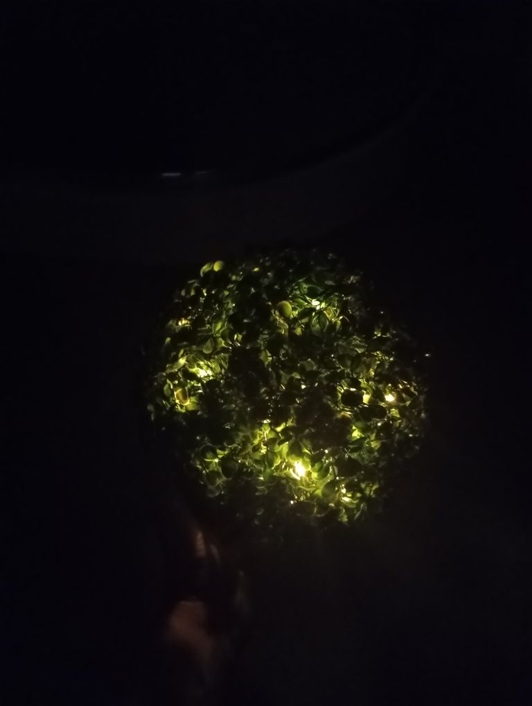 Lampka LED Cooge kula bukszpan.