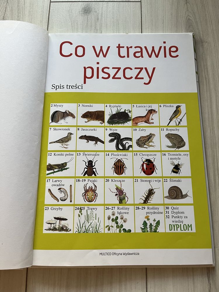 Co w trawie piszczy