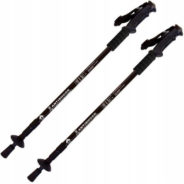 KIJKI DO CHODZENIA do nordic walking KIJE PARA regulowana wysokość
