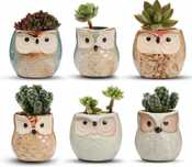 Zestaw 6 ceramicznych doniczek – urocze sowy do sukulentów i bonsai

S