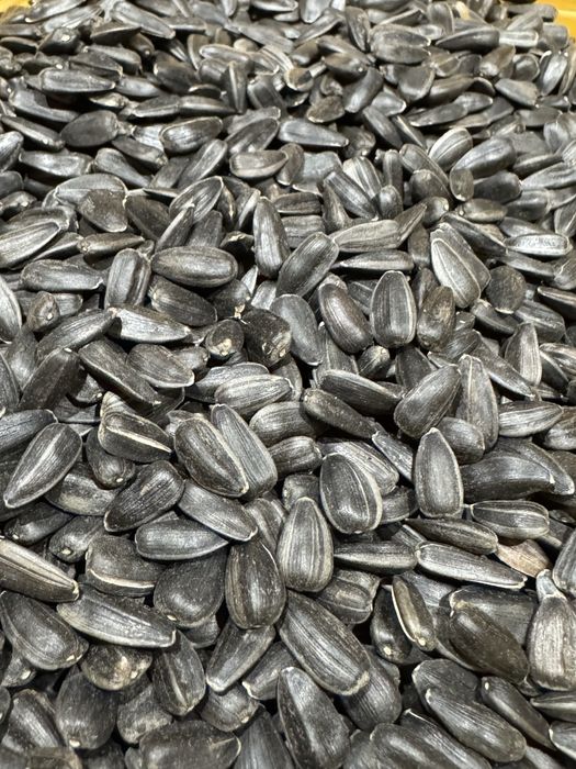 Насіння соняшника для смаження