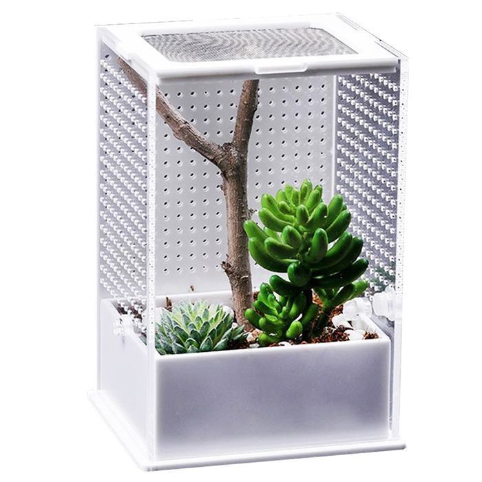 Repti-Zoo Mantis Box L - Terrarium Akrylowe Dla Modliszek