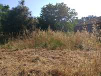 Limpeza de terrenos,  quintais e jardins