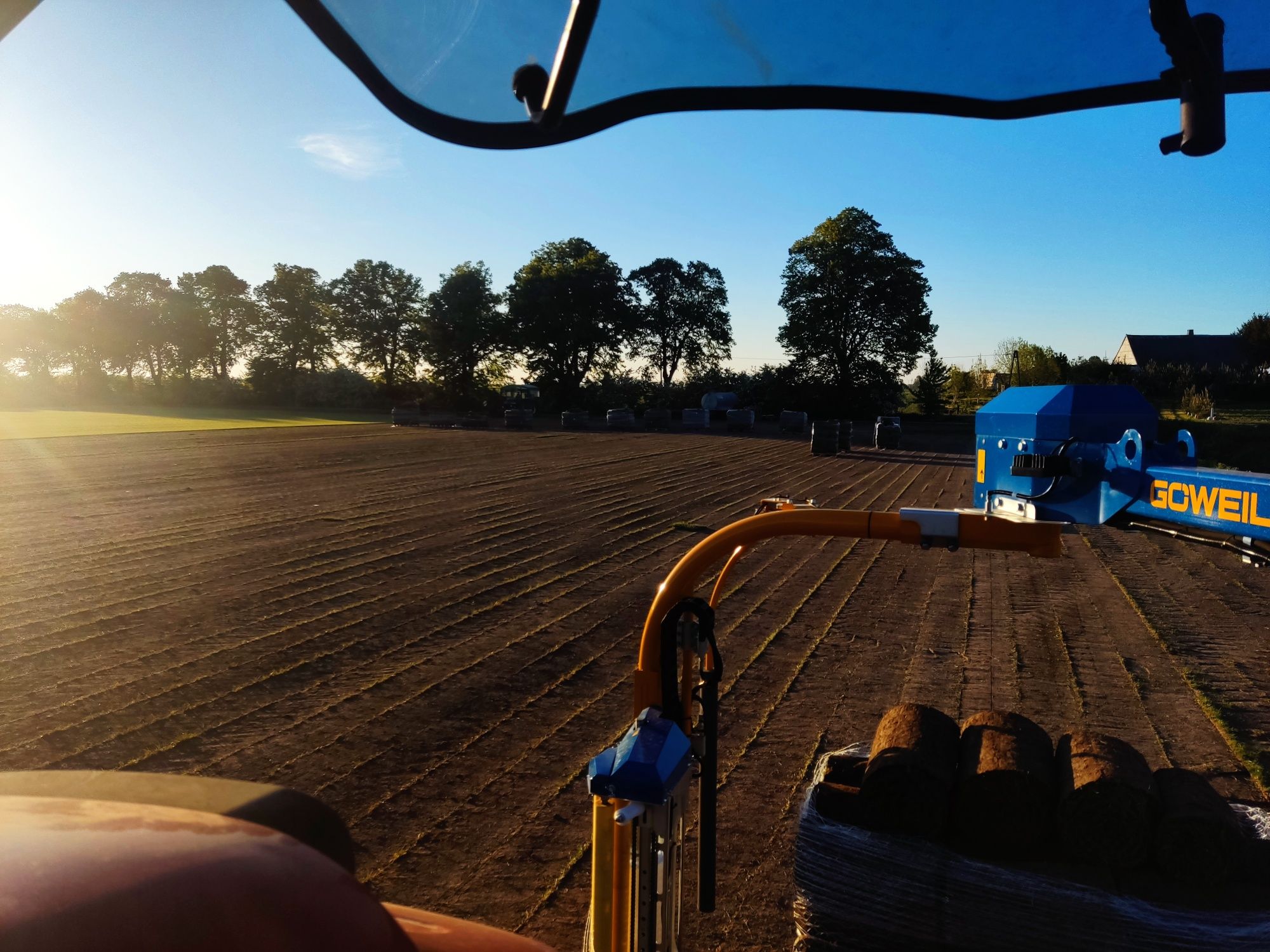 Trawa z rolki/Roll_Grass Producent Trawy