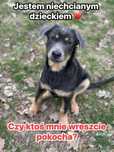 Jestem niechcianym dzieckiem, czy ktoś mnie pokocha? Hania