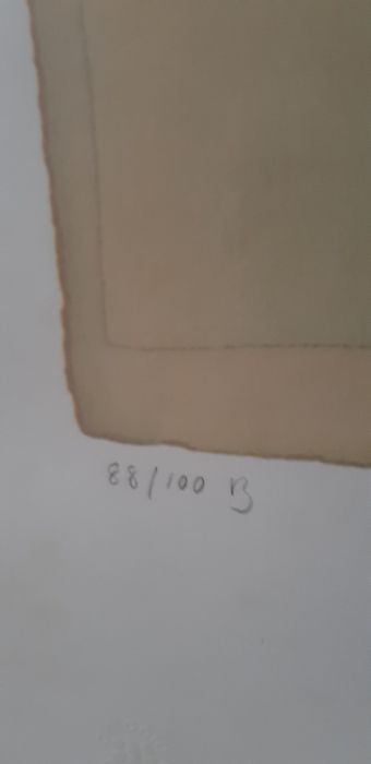 Serigrafia Célia Reis