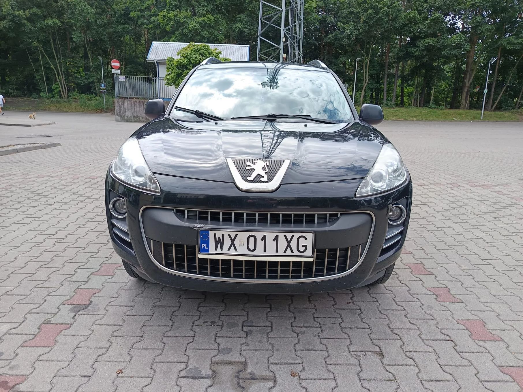 Peugeot 4007 PEUGEOT 4007 2.2 HDI Platinium Automat