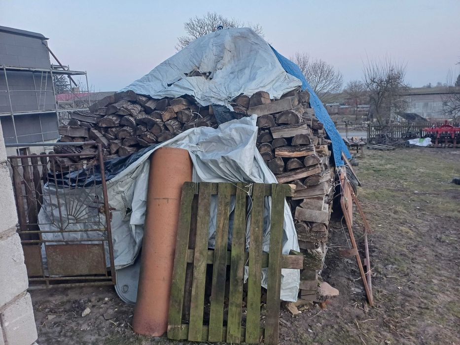 Drewno opałowe buk,wierzba