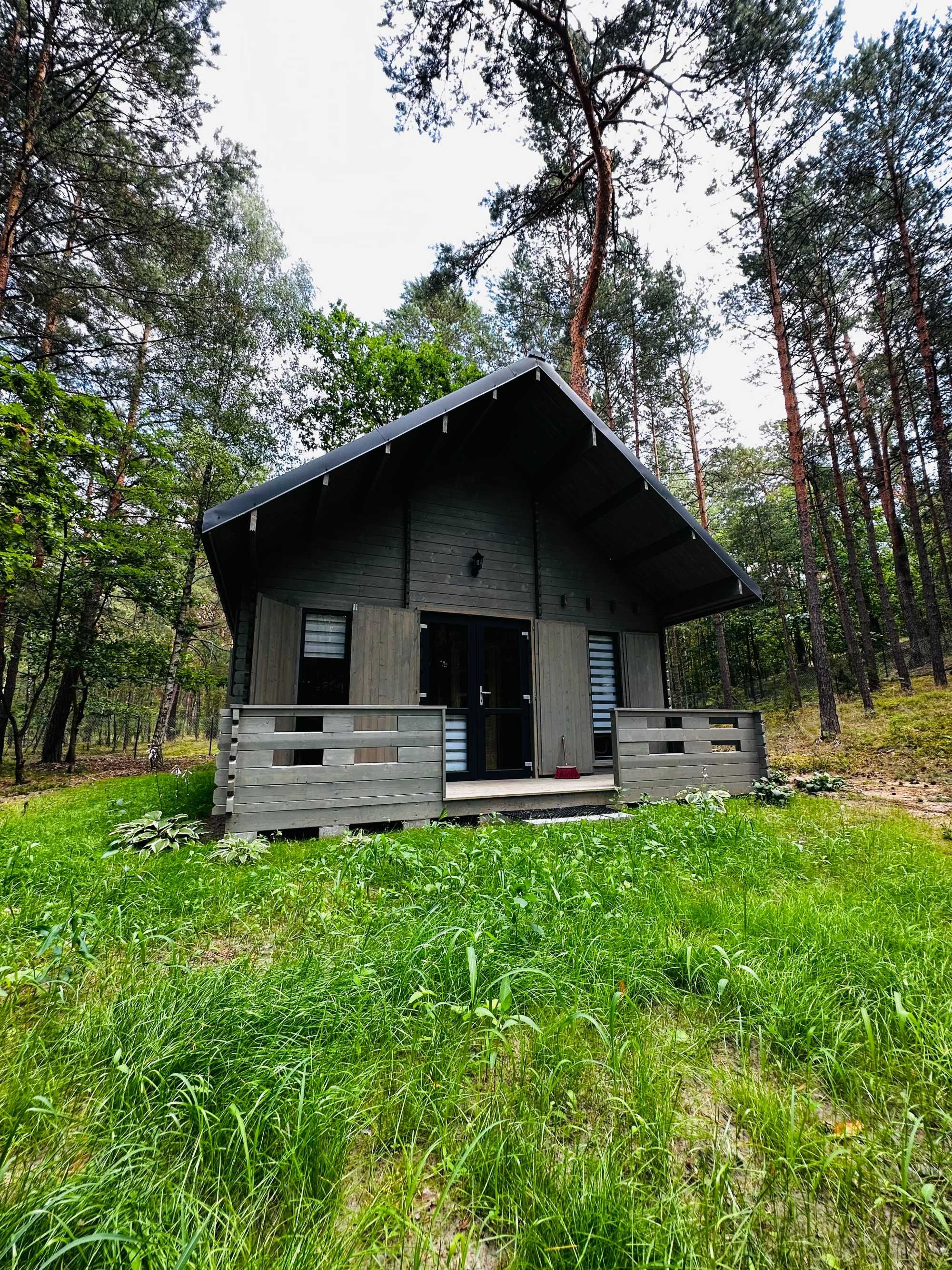 Spokój pośród Lasu! Uroczy Domek 320zł za dobę!