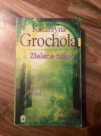 Katarzyna Grochola Zielone Drzwi
