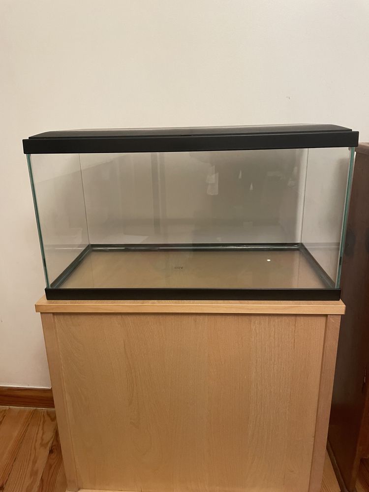 Aquário 60L + acessórios (em excelentes condições)