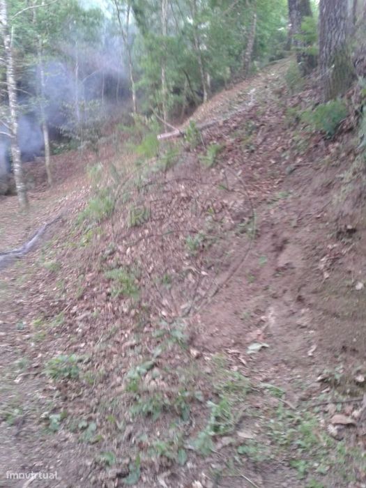 Terreno  para venda