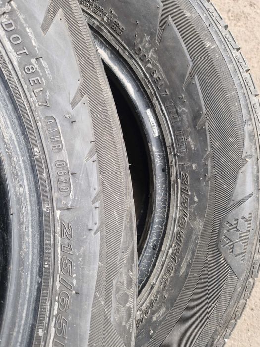 шини зима 215 65 R16C Nexen Winguard WT1