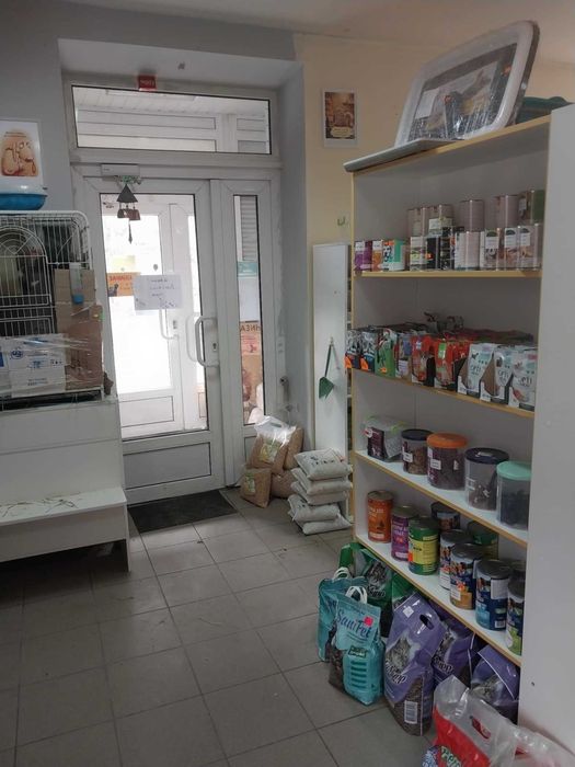 зоомагазин недалеко от порта