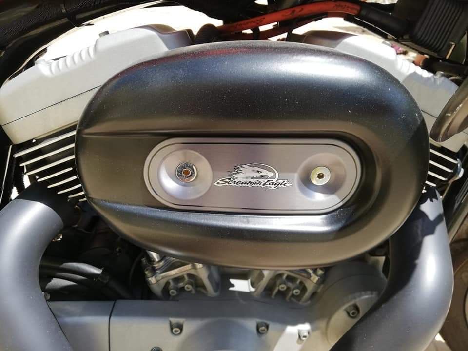 Harley-Davidson Sportster 1200R – 2006 (Nacional)