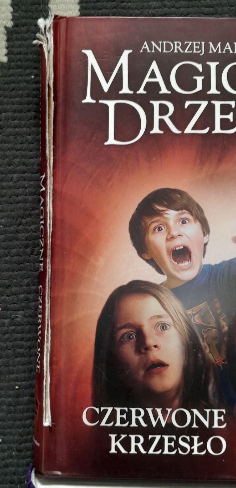 12 książek z serii "Magiczne drzewo"