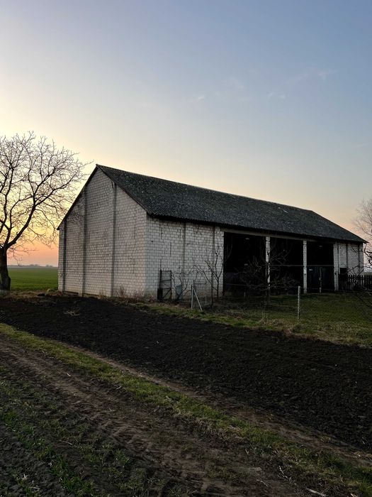 Do wynajęcia: stodoła murowana o powierzchni 200m2 / magazyn