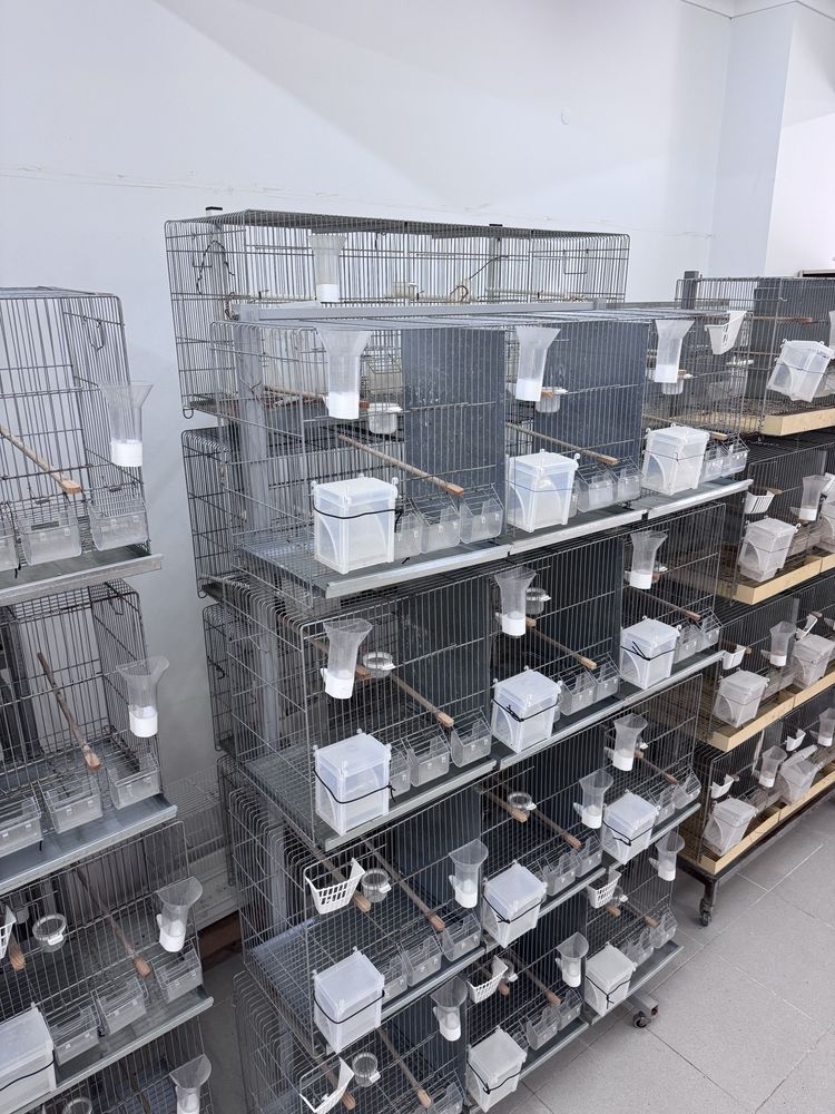 Gaiolas de criação de aves com suporte