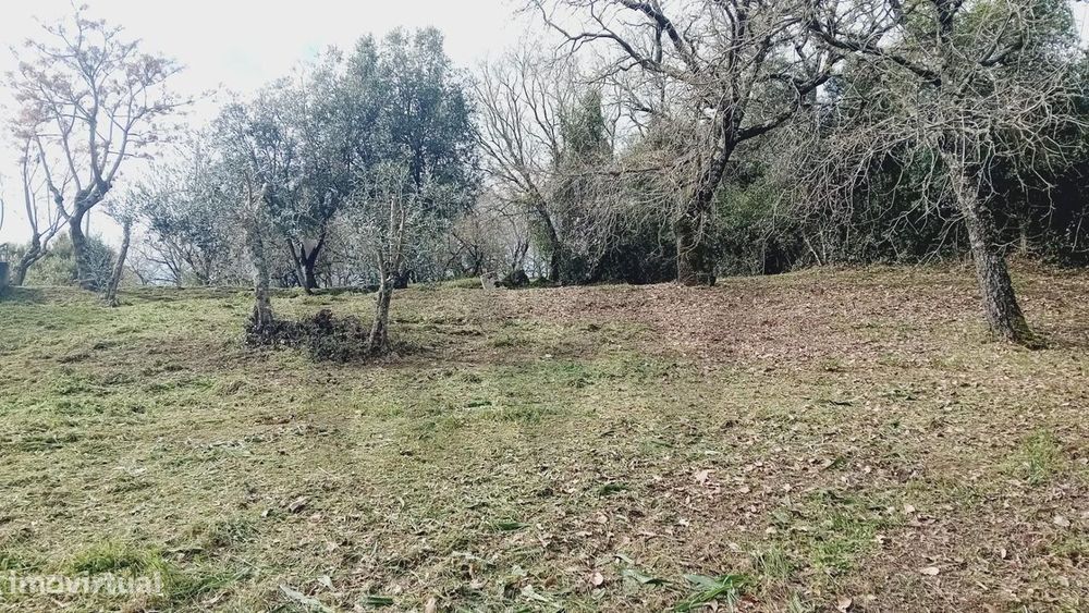 Terreno Urbano na Encosta do Sol – Vila de Soure