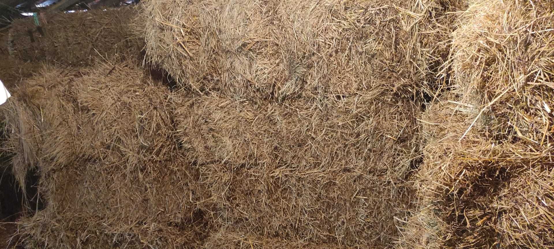 Fardos de Palha  - Vermoil - Pombal