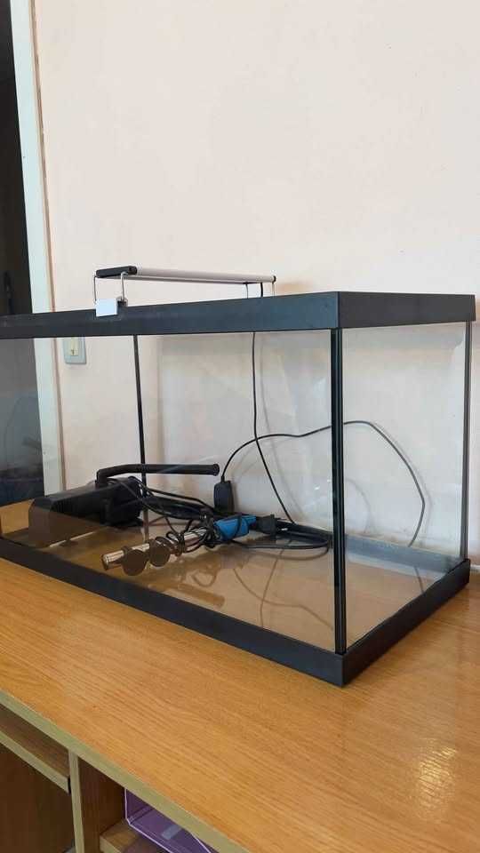 Aquario 60L com acessórios