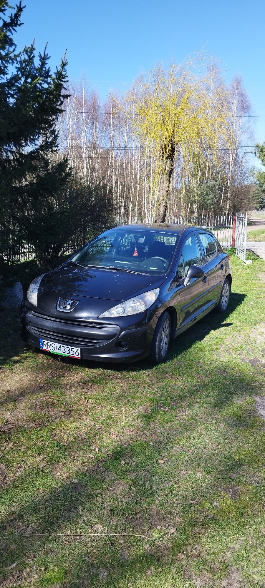 Peugeot 207, 2008r LPG