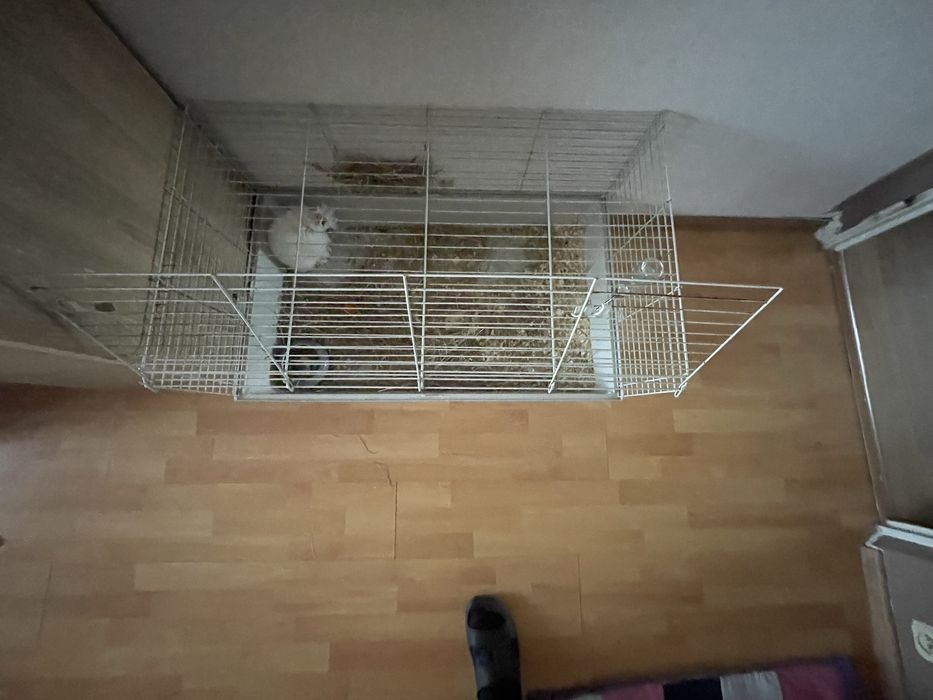 Sprzedam klatke dla królika /świnki