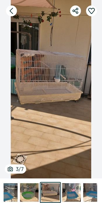 Gaiolas de vários tamanhos