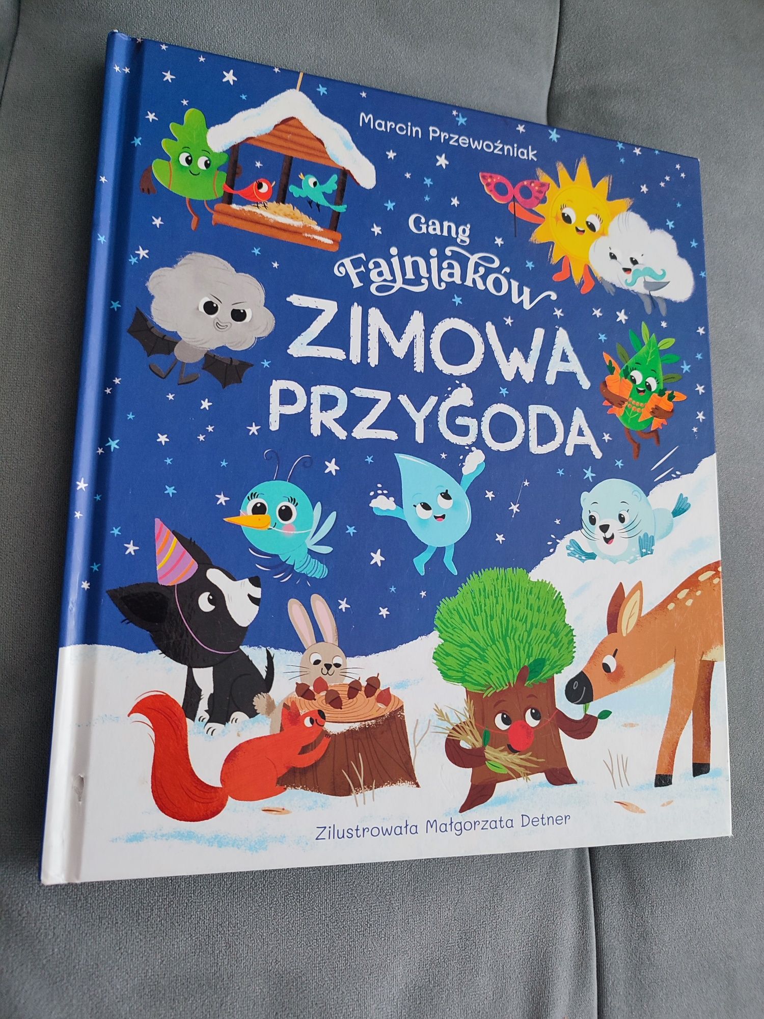 Książka zimowa przygoda.