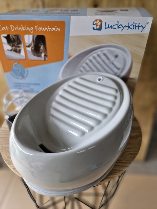 Poidełko Lucky Kitty dla kota