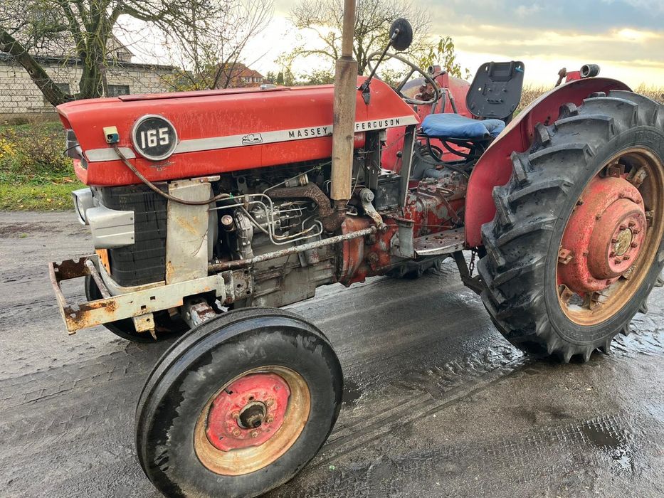 Ciągnik Rolniczy Massey Ferguson MF 165 4-Perkins Sprowadzony (265)