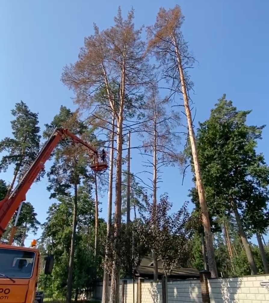 Зрізання дерев Спил дерев Обрізка дерев Кронування. Договір/Гарантія!