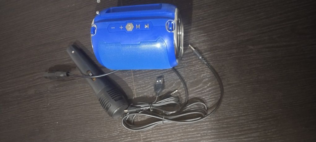 Głośnik bluetooth z radiem i karaoke