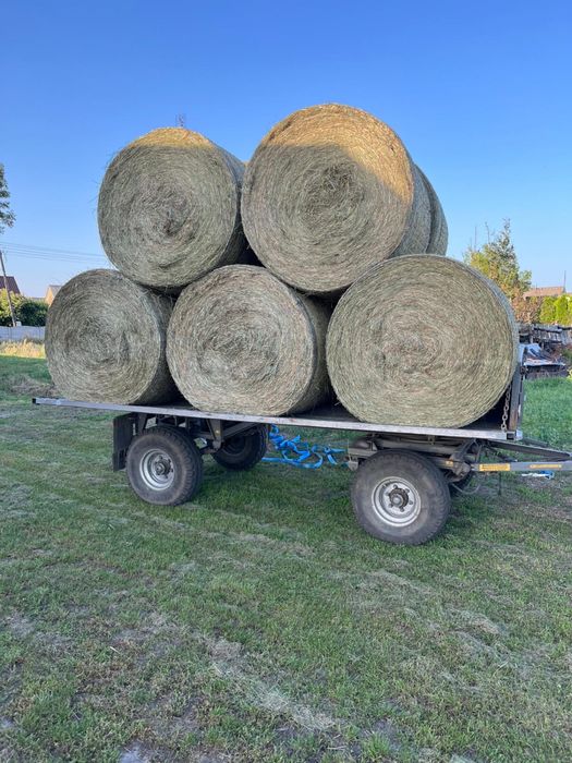 Siano 2025, suche, pachnące, transport GRATIS