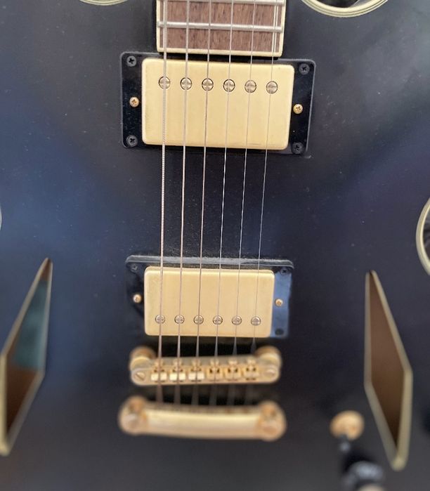 Epiphone Emily Wolf Sheraton Stealth