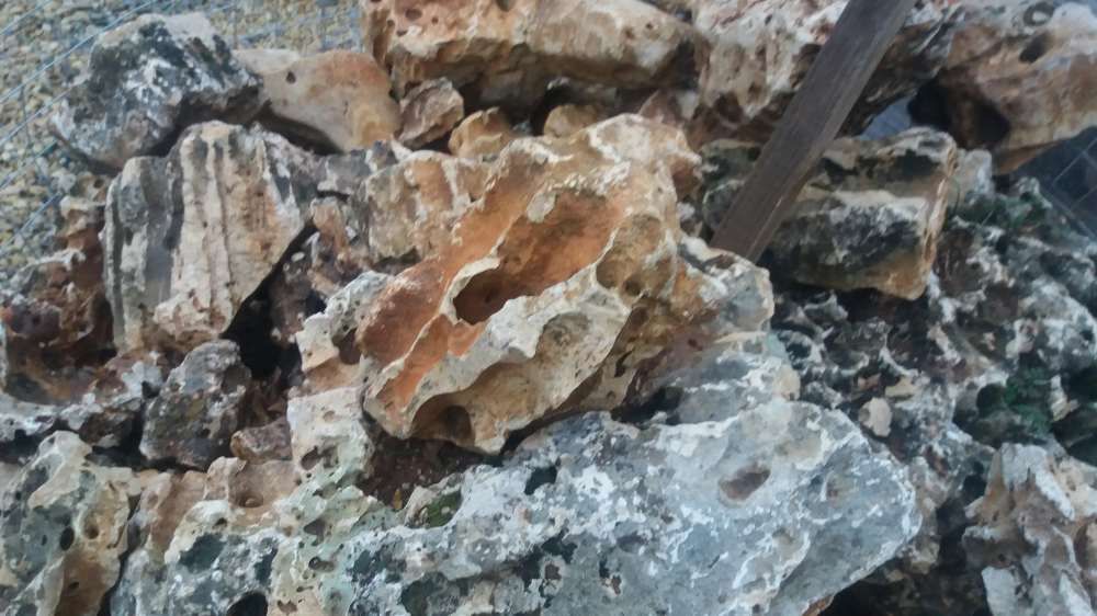 Kamień księżycowy Moonstone - Rewelacja do akwarium lub terrarium