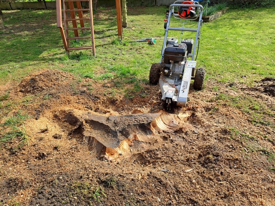 Frezowanie pni koszenie traw