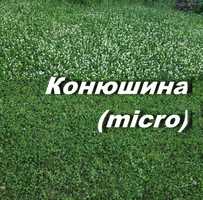 Газон из белого микро клевера 1кг конюшина повзуча різні виробники