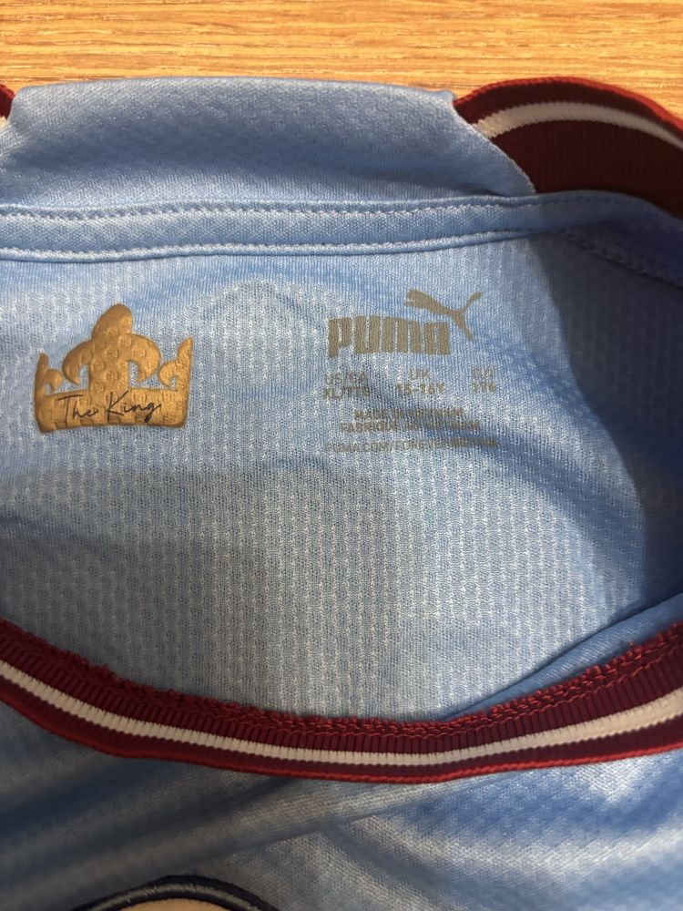 Футболка Puma Manchester city Haaland