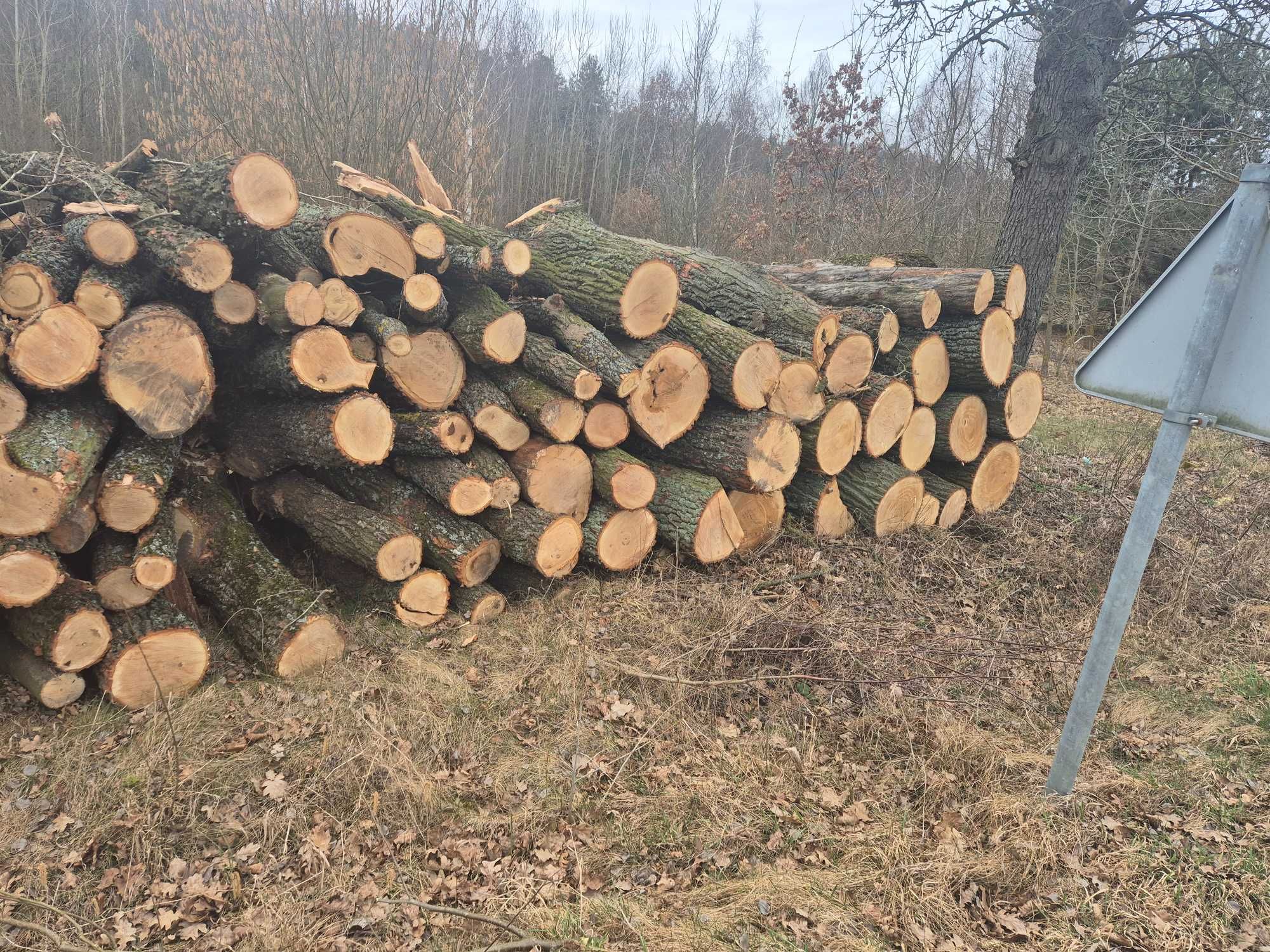 Drewno opałowe tartaczne Dąb S2a opał