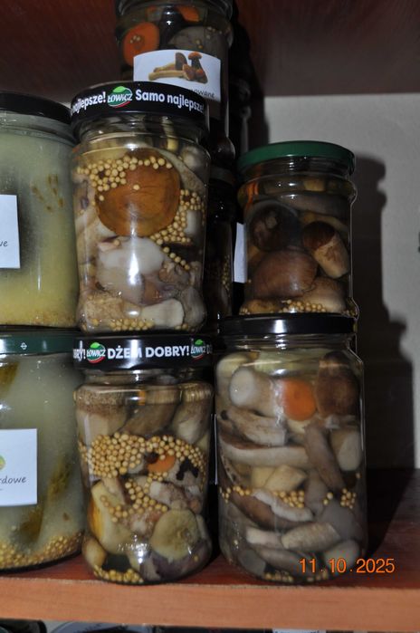 Kanie marynowane dla p. Małgorzaty