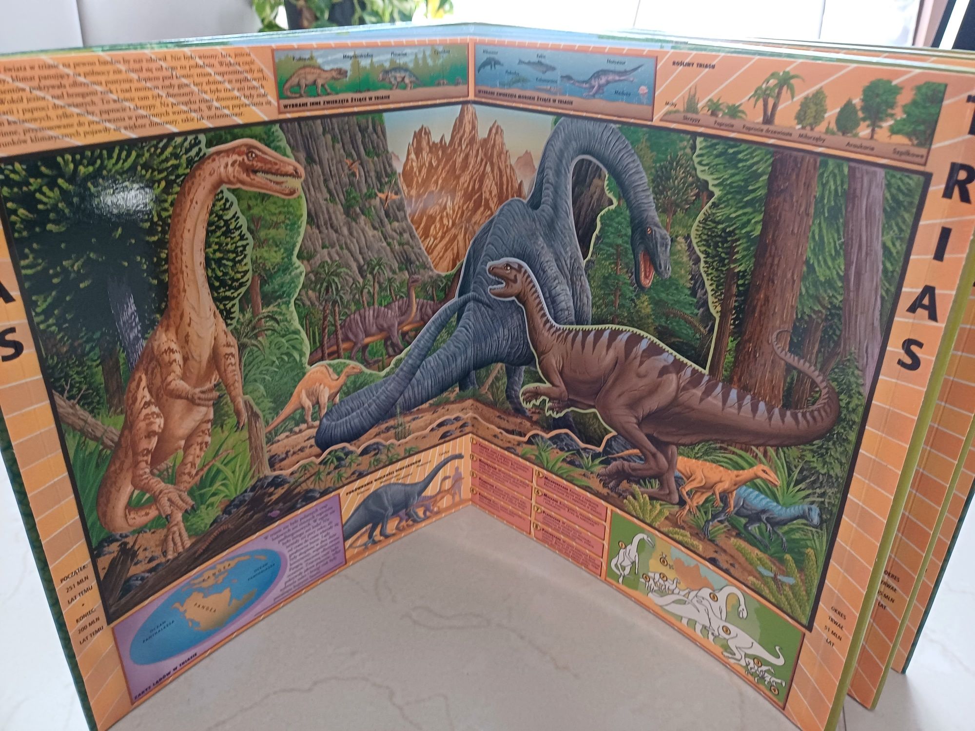 Książka Dinorama (Dinozaury)
