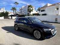 Audi e-tron 55 quattro Advanced (120.000€ - Pano / HU / B&O / Leather)