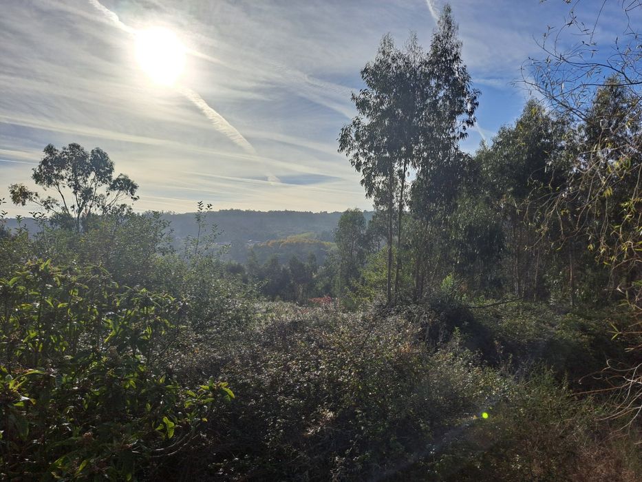 Vendo terreno rústico monte cordova com casa para restauro